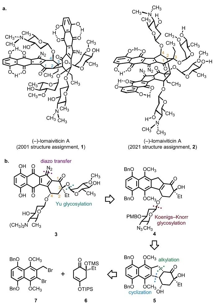 目標(biāo)分子(-)-lomaiviticin A修訂前后的分子結(jié)構(gòu)及單體的逆合成分析 目標(biāo)分子(-)-lomaiviticin A修訂前后的分子結(jié)構(gòu)及單體的逆合成分析